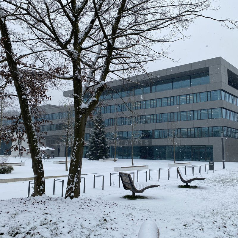 Rathaus und Marktplatz im Winter