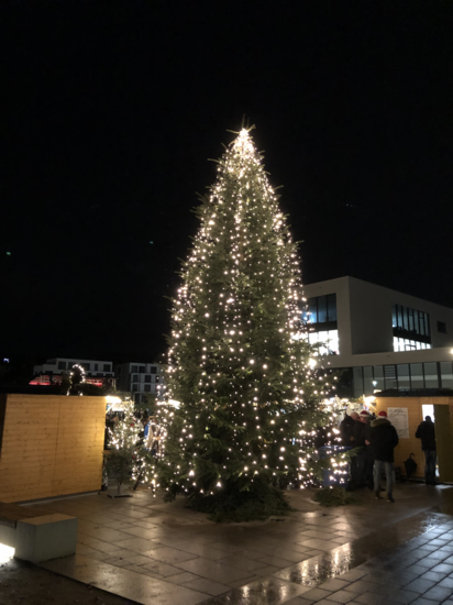 Weihnachtsbaum mit Lichterkette auf dem Marktplatz