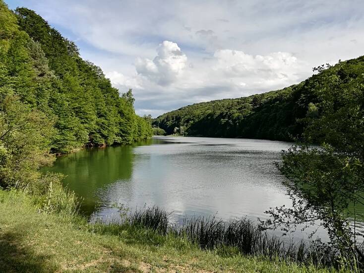 Fluss bei Codlea