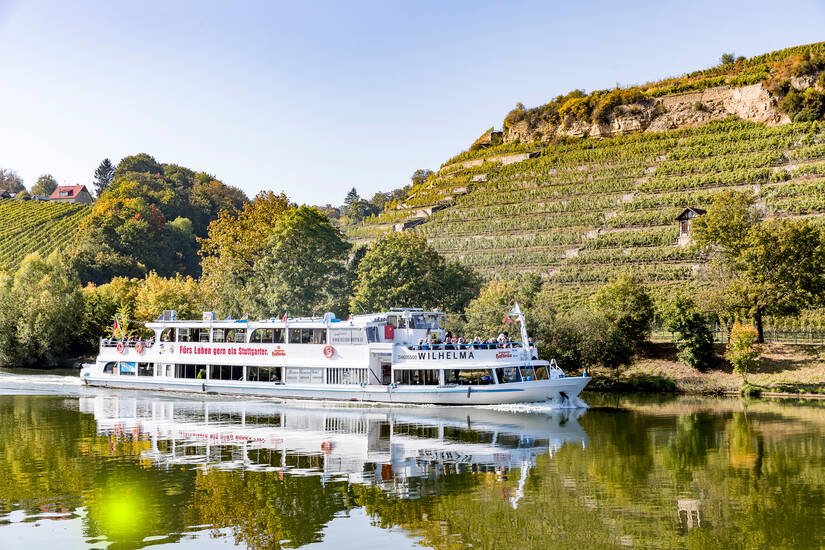 Boot auf einem Fluss im Hintergrund Bäume.