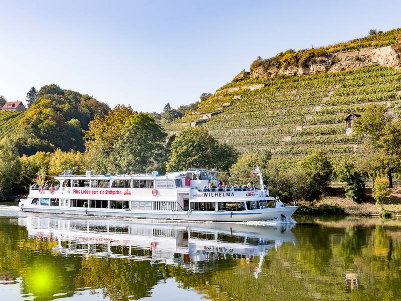 Boot auf einem Fluss im Hintergrund Bäume.