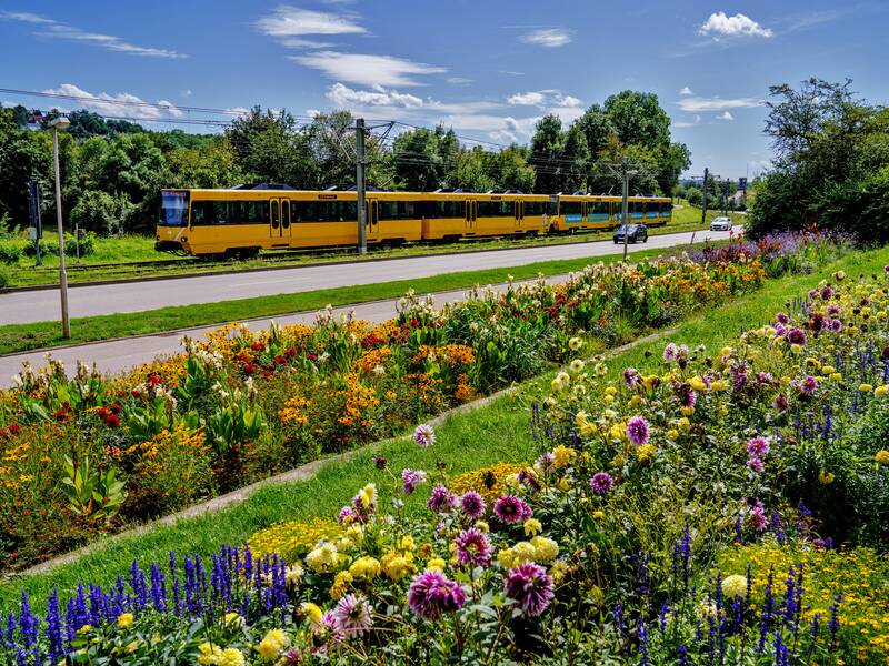 U-Bahn fährt im Hintergrund, im Vordergrund ein Blumenbeet mit bunten Blumen.