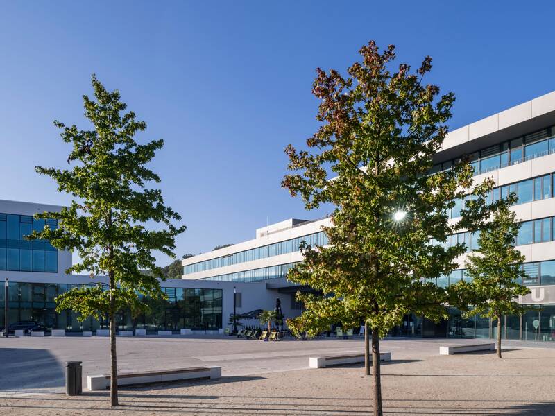 Das Ratahus, die Stadthalle, der KUBUS und der Marktplatz bei Sonnenschein, im Vordergrund Bäume