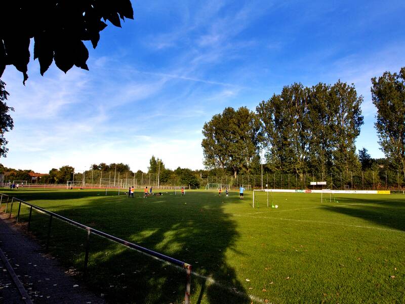 Rasenplatz bei blauem Himmel.