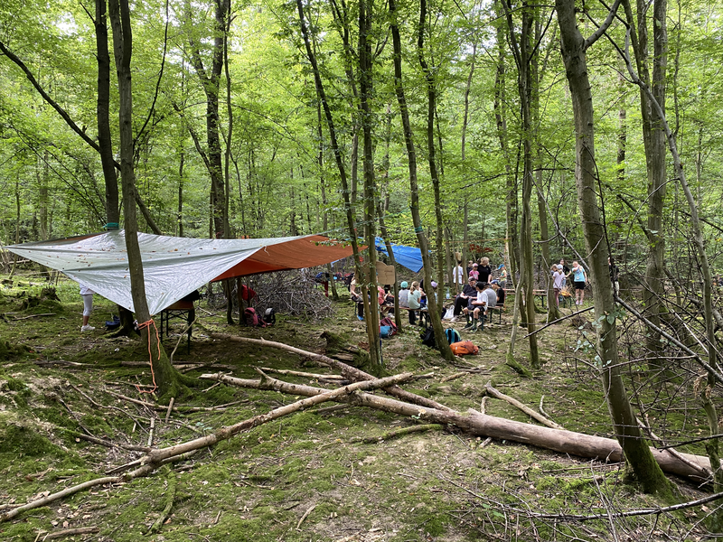 Wald mit Menschen.