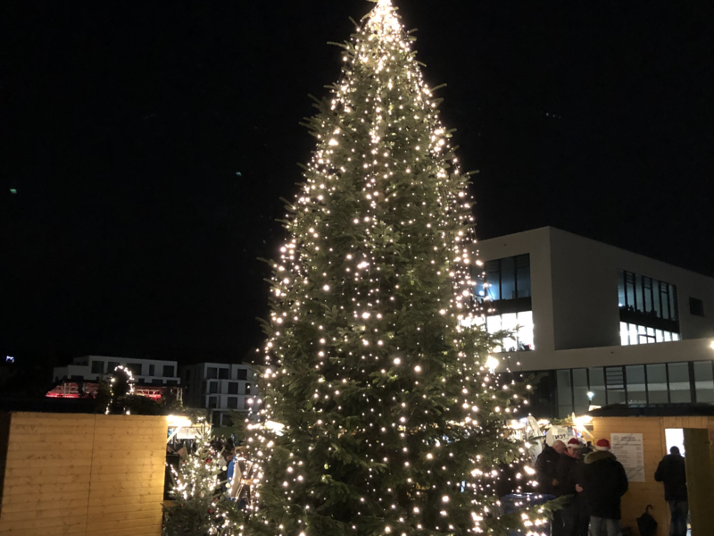 Weihnachtsbaum mit Lichterkette auf dem Marktplatz