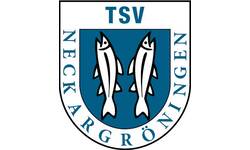 Logog des TSV